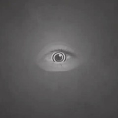 Meditation 7 (Nasrawi Perspective)