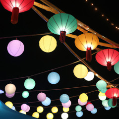 Bamboo Grove Whispers