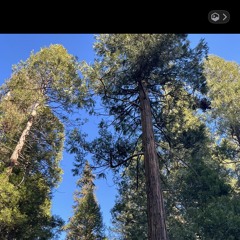 Inside_of_You_and_Me.🌹🎻🎶 En ti y en mi El Señor Se está moviendo…🌹🎻🎶