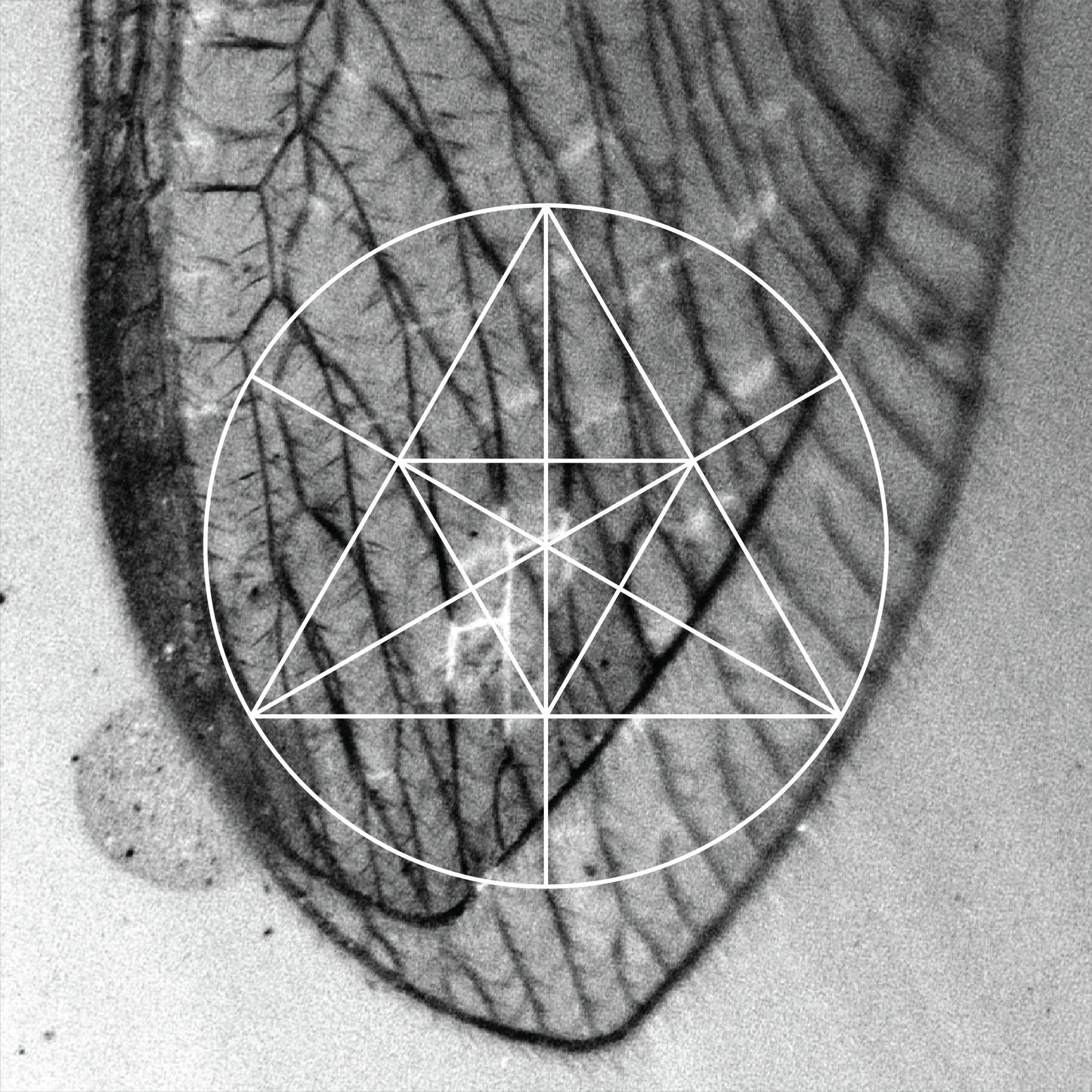 Mysteries of the Deep