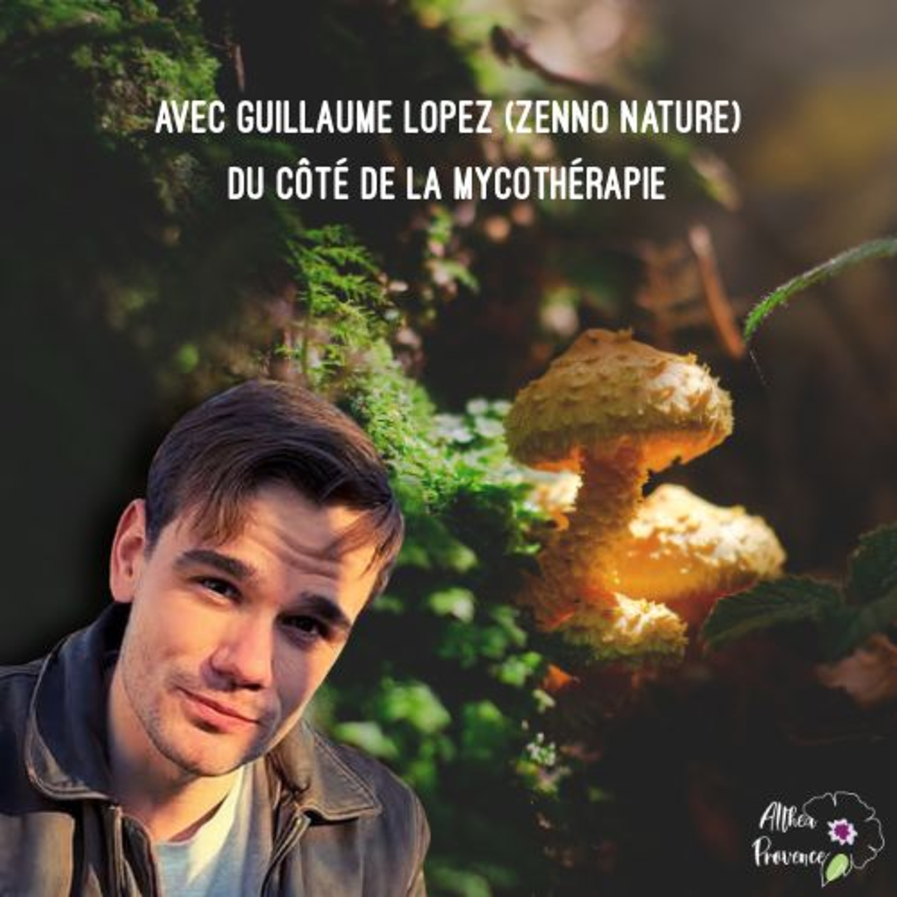 Interview Guillaume Lopez (Zenno Nature) - la mycothérapie-podcast