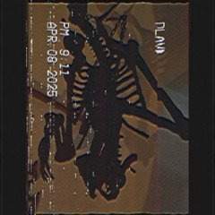 SKULL THEFT feat. LUηG