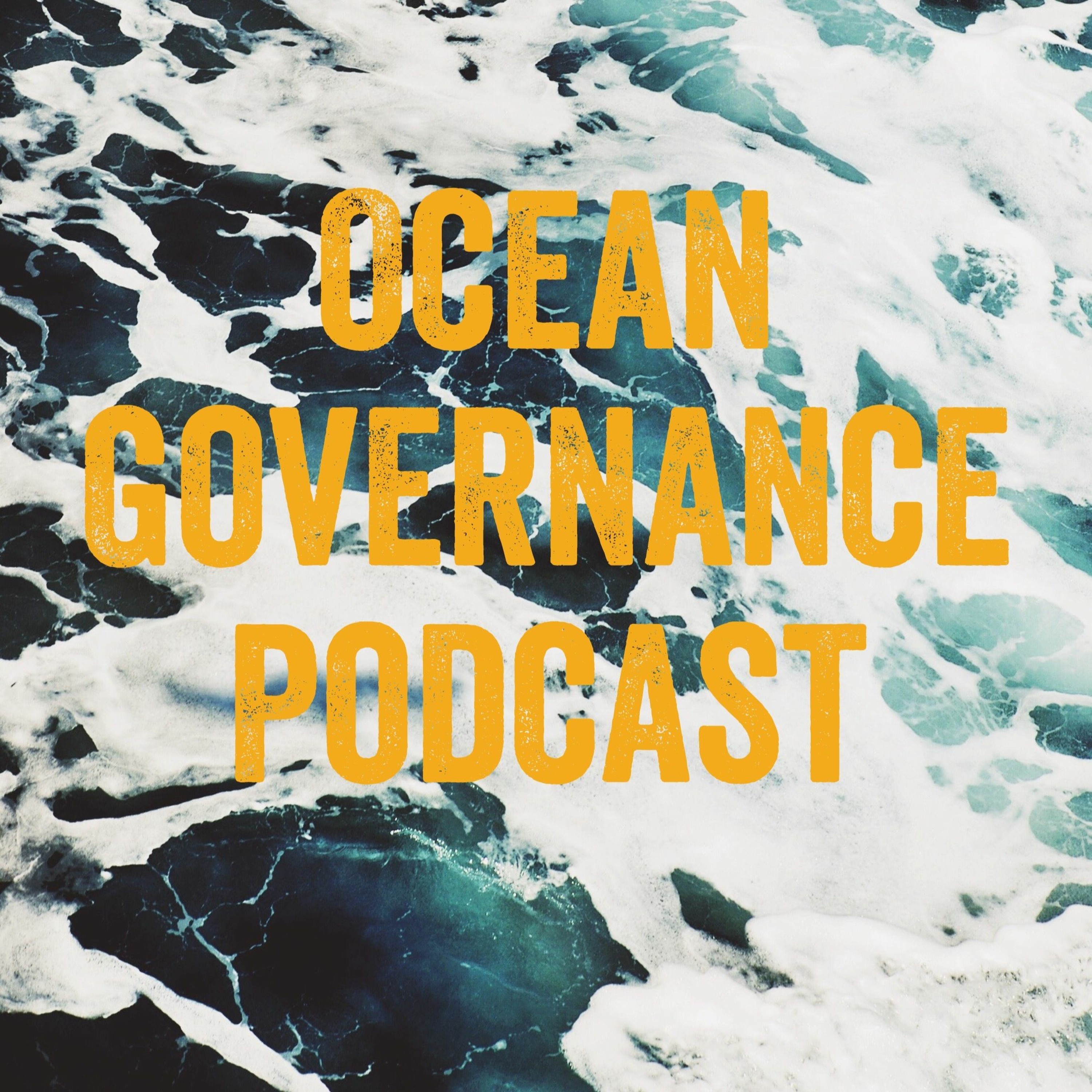 Episode 14 - The Marine Arctic: What Role For Law When The Ice Recedes?