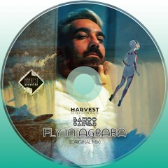 Bahoo Sarwar - Fly in Agraba