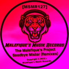 Goodbye Mister (Bangin' Remix)