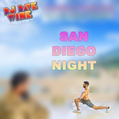 San Diego Night