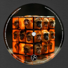 A Bunch Of Monkeys (feat. Sabatino Matteucci)