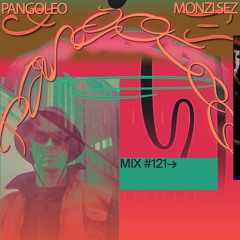 121 📡 Monzi Sez 🇧🇪 (Pangoleo)