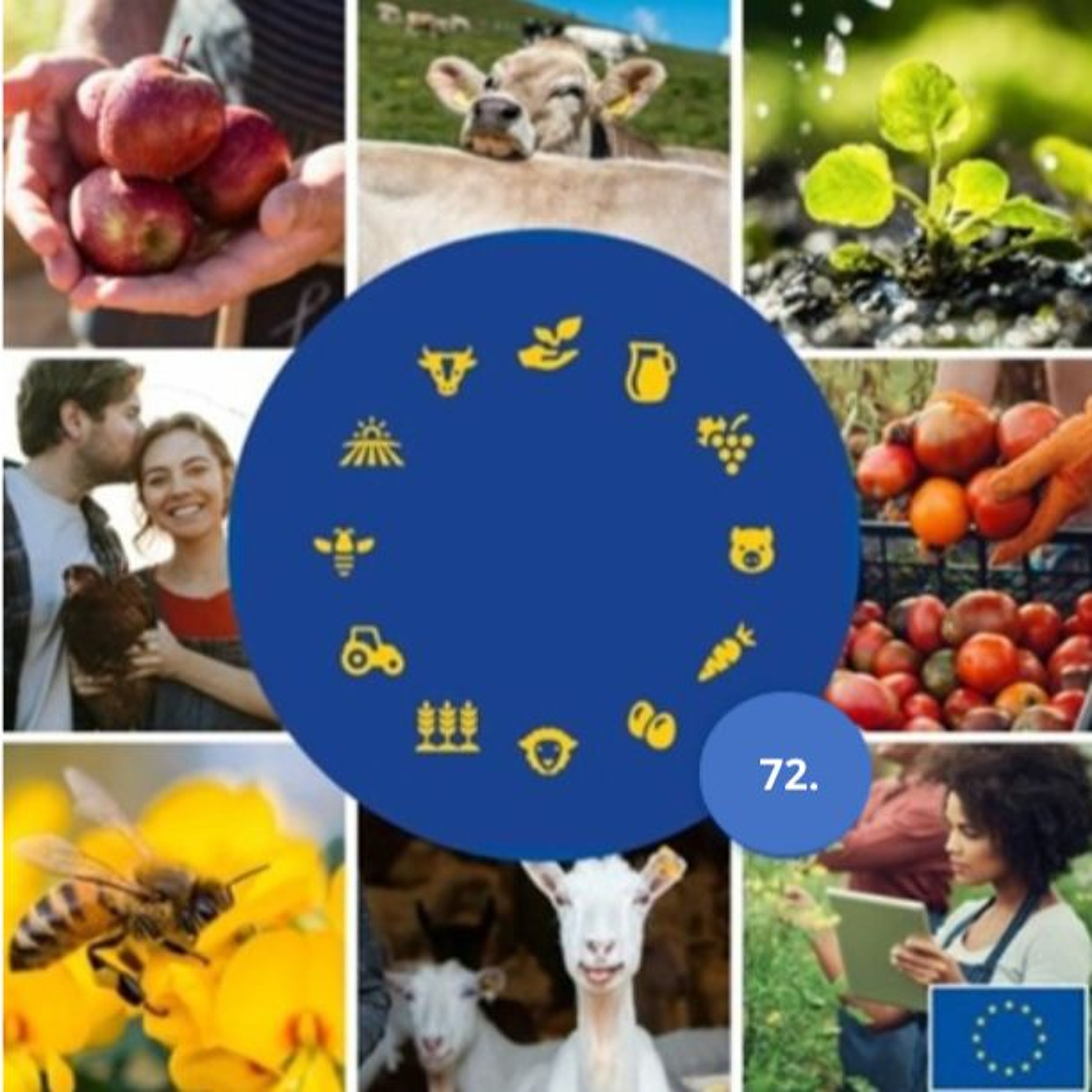 72. Düngemittel: Herausforderungen und Chancen für die europäische Landwirtschaft