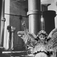 Angels In An Echo Chamber