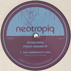Silverlining - Forest Dreams EP (NtQ005)