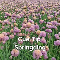 Cue-Tip. Springding