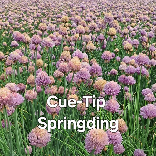 Cue-Tip. Springding