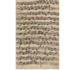 Bach_G-dúr Suite for Cello Solo_PB