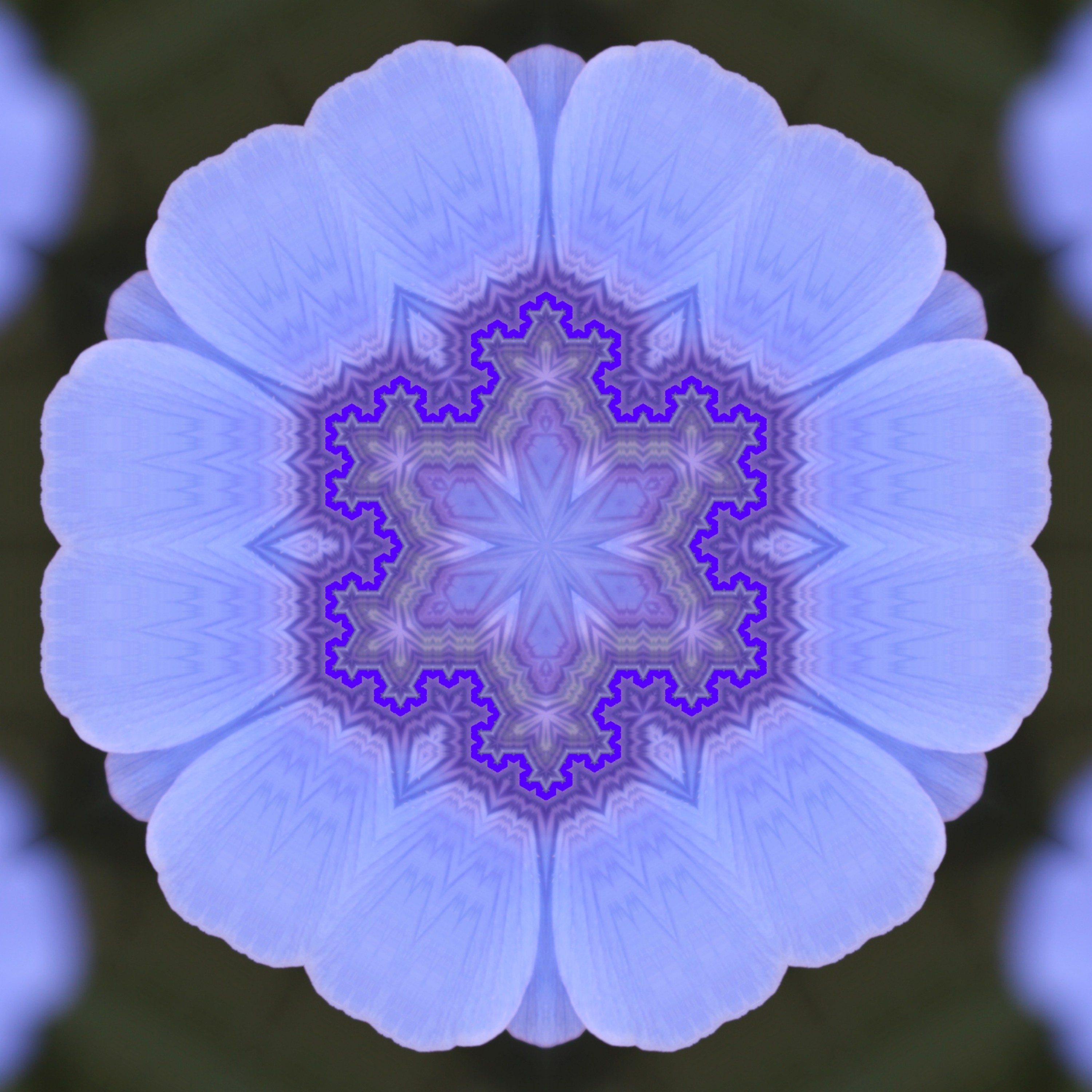 Dimensional Shift
