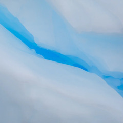 Antarctica