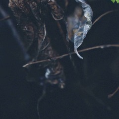 [naviarhaiku 579] fumes and ash