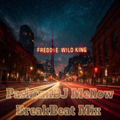 Freddie Wild King (PDJ MellowBreakBeat Mix)