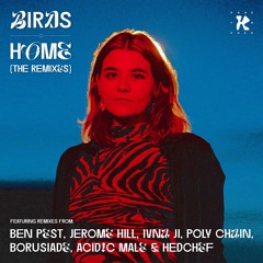 Snippets - Birds - 'Home (The Remixes)'