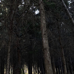 최유리 - 우리만은