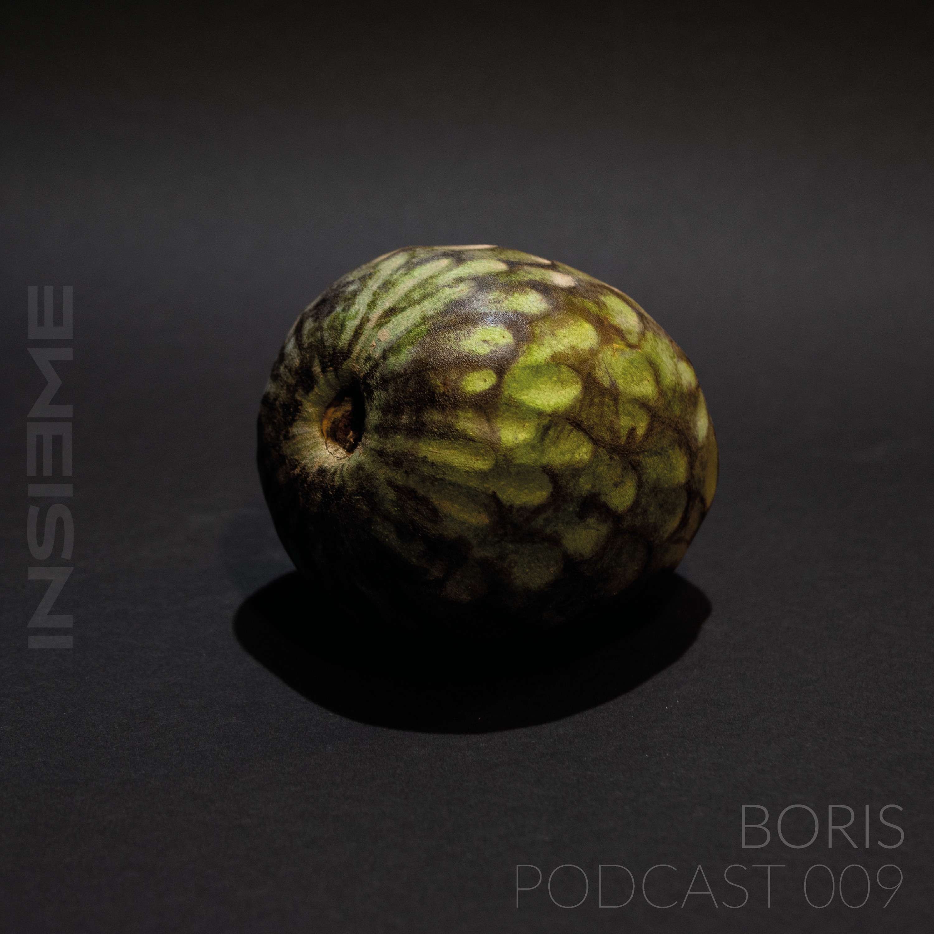 Insieme Podcast 009 episode artwork