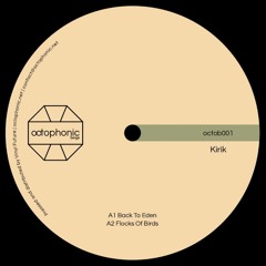 Premiere : Kirik - Flocks of Birds (OCTOB001)