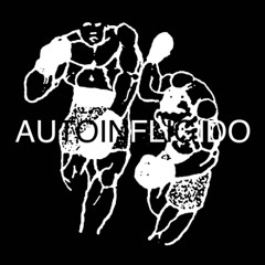 AUTOINFLIGIDO