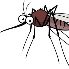 Mosquito song