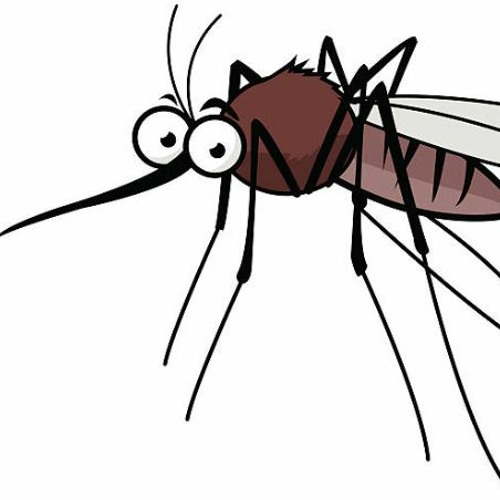 Mosquito song