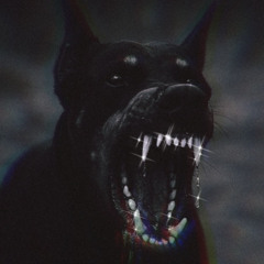 2- Who A friend Or Who A Enemy