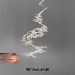 meltdown 28 - cash