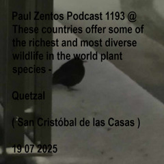 Paul Zentos Podcast 1193 @ These countries offer some of the richest and most diverse wildlife in the world plant species - Quetzal ( San Cristóbal de las Casas ) 19 07 2025