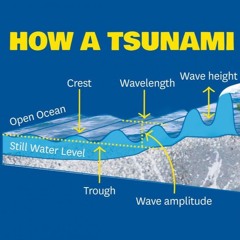 Tsunami 2