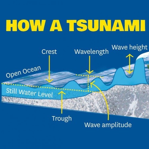 TSUNAMIページ Tsunami-generated magnetic fields have primary and secondary