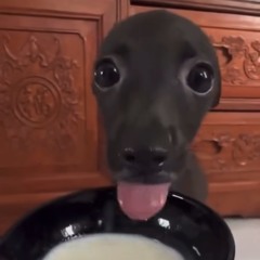 555