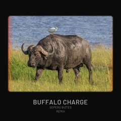 Dub Phizix - Buffalo Charge (ft. Strategy) - Seprű Remix