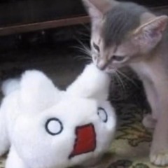 Sssselvanegra!!-slowed & reverb