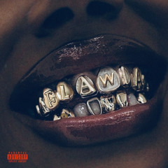 FLAWDA BABY