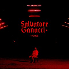 Salvatore Ganacci - Horse (Amaru Techno Rework) Free Download