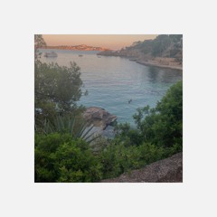 I NEED A DOLLAR - Doc Mool House Edit