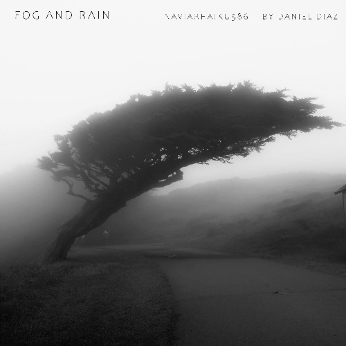 Fog and Rain (naviarhaiku586)