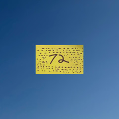 Immersive Groove #72
