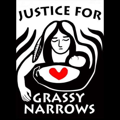 Justice for Grassy Narrows: Interview with Judy Da Silva, organizer for Indigenous sovereignty