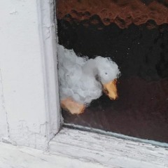 Playa Fome - Agua De Beber (dub mix del buen clima)