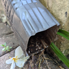 Hear Water-Rain Gutter Sparse Rhythm