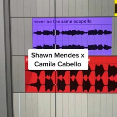 Shawn Mendes x Camila Cabello (Carneyval Mashup)