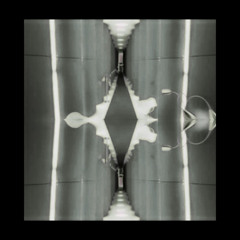 Information Sharing [live]