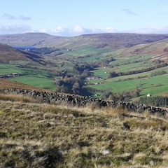 After The Clearance (Hills of Nidderdale)
