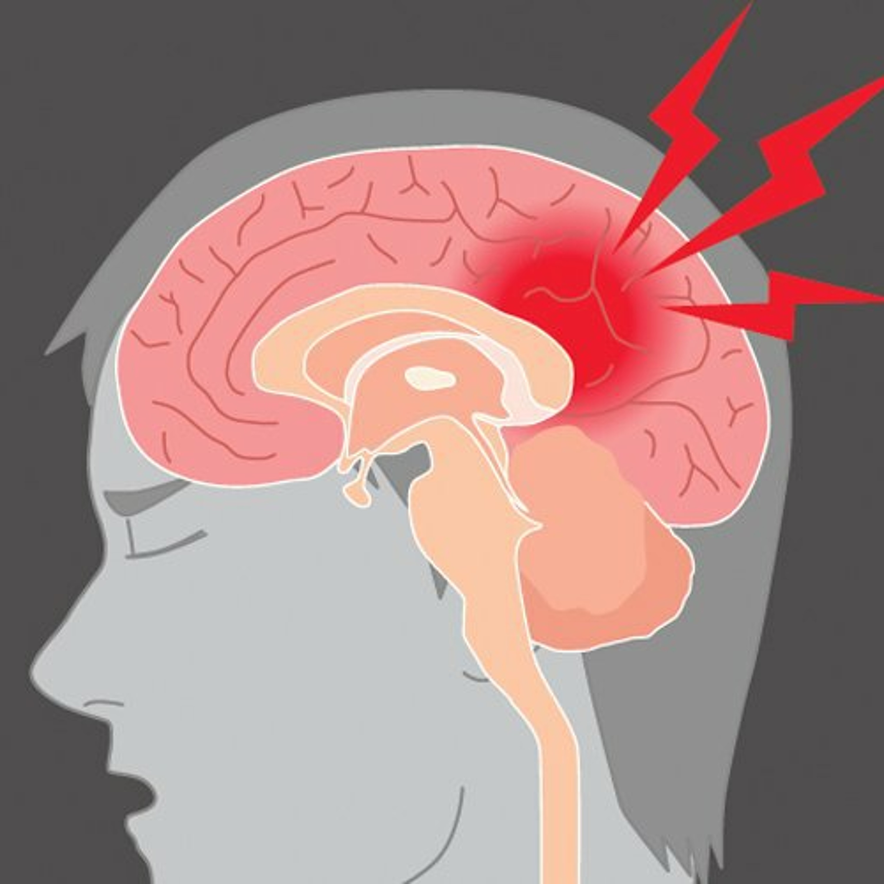 Neurologia Revisitada