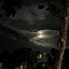 arca luna llena sped up